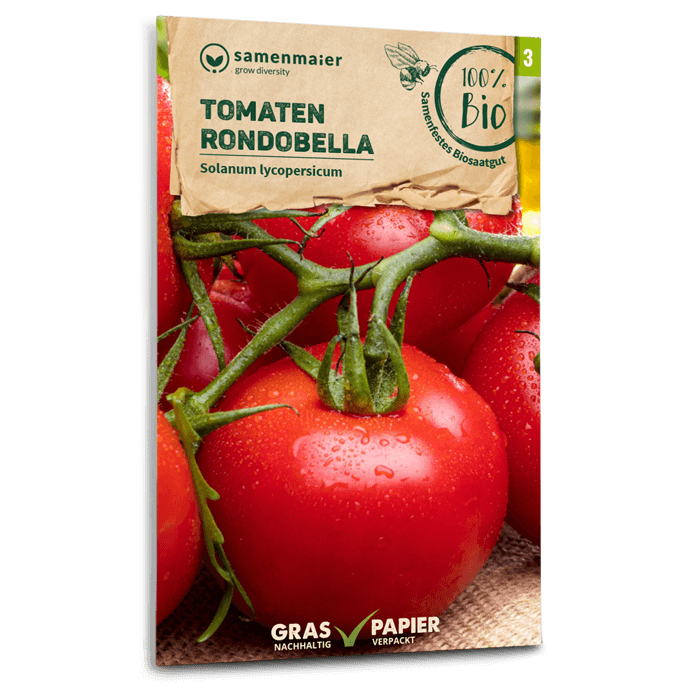 Samen Maier BIO Salattomaten Rondobella