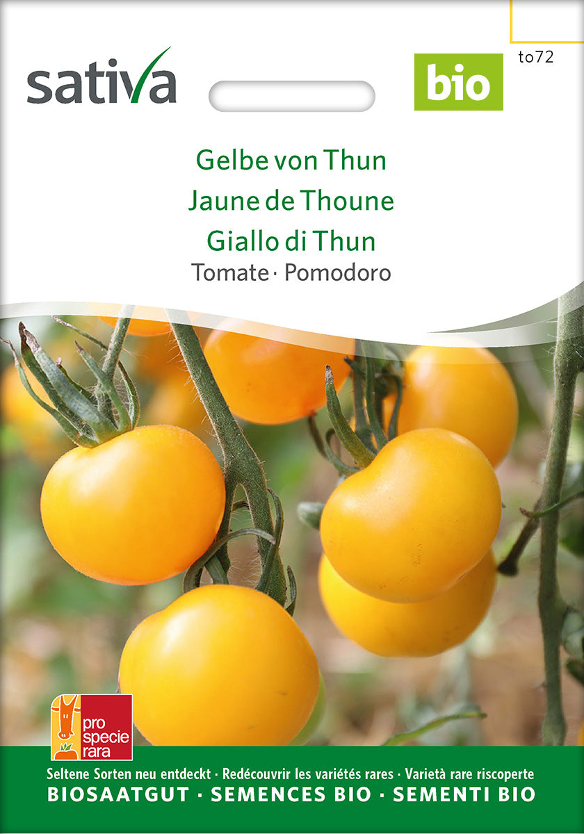 Sativa Tomate Gelbe von Thun