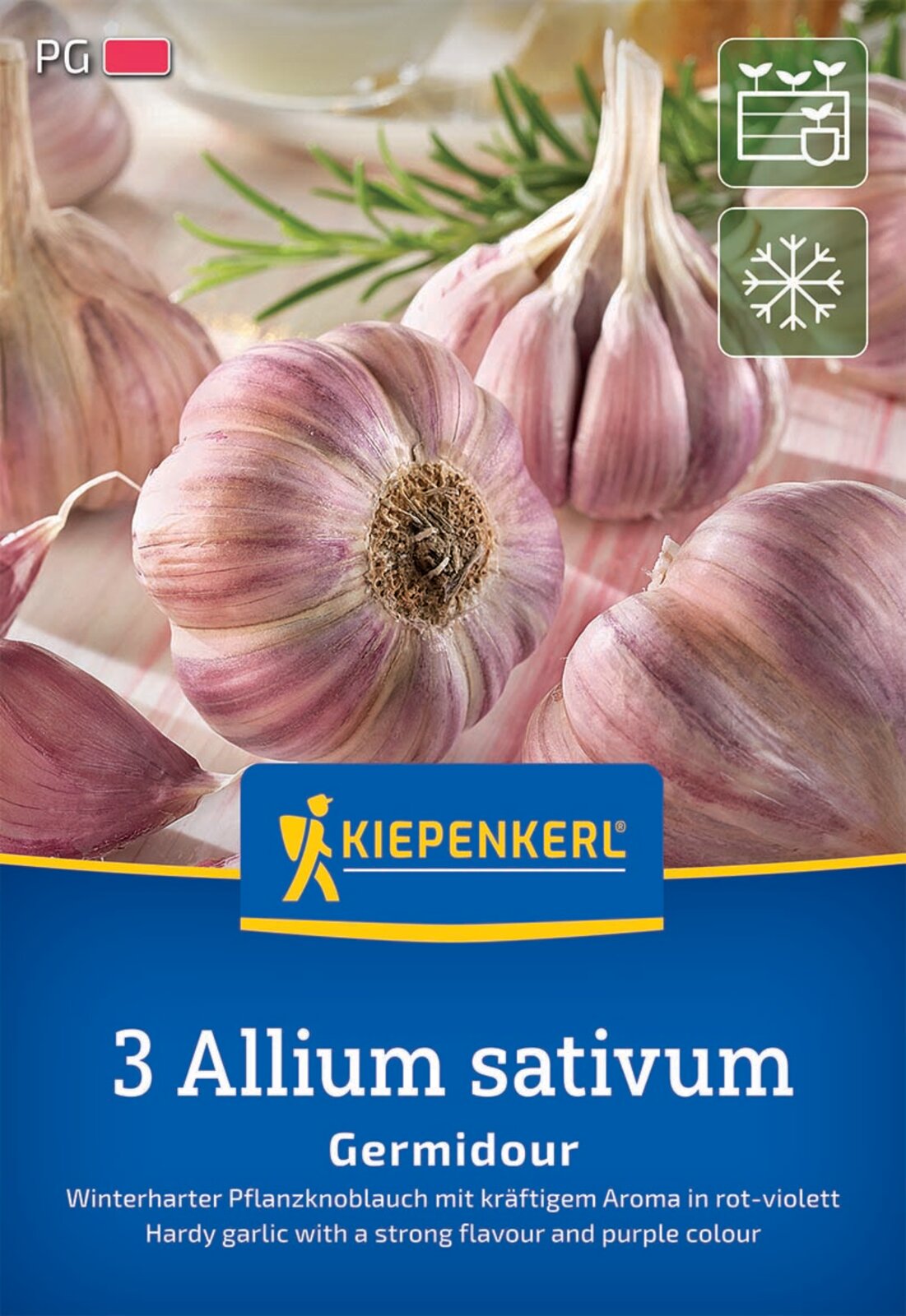 Kiepenkerl Winterknoblauch Germidour 3 Stück