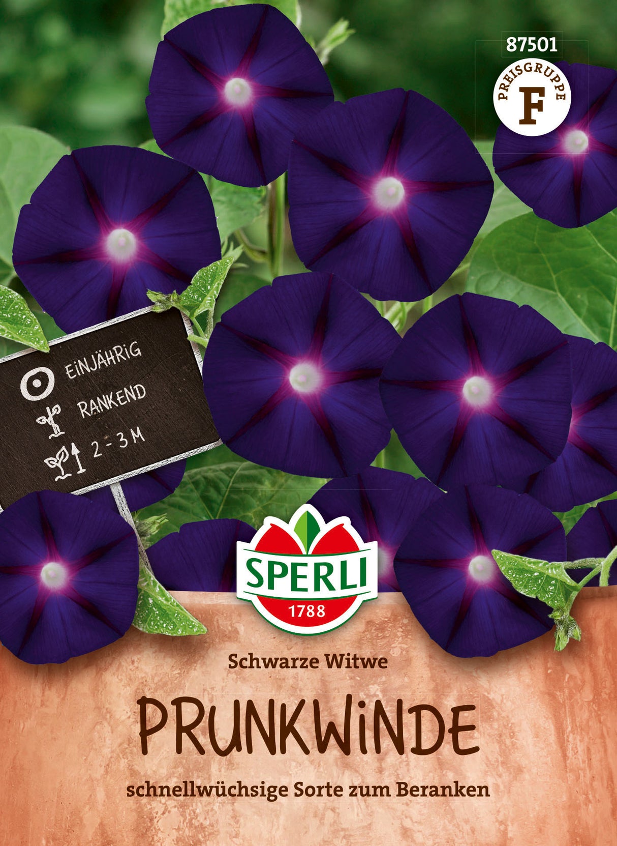 SPERLI Prunkwinde Schwarze Witwe
