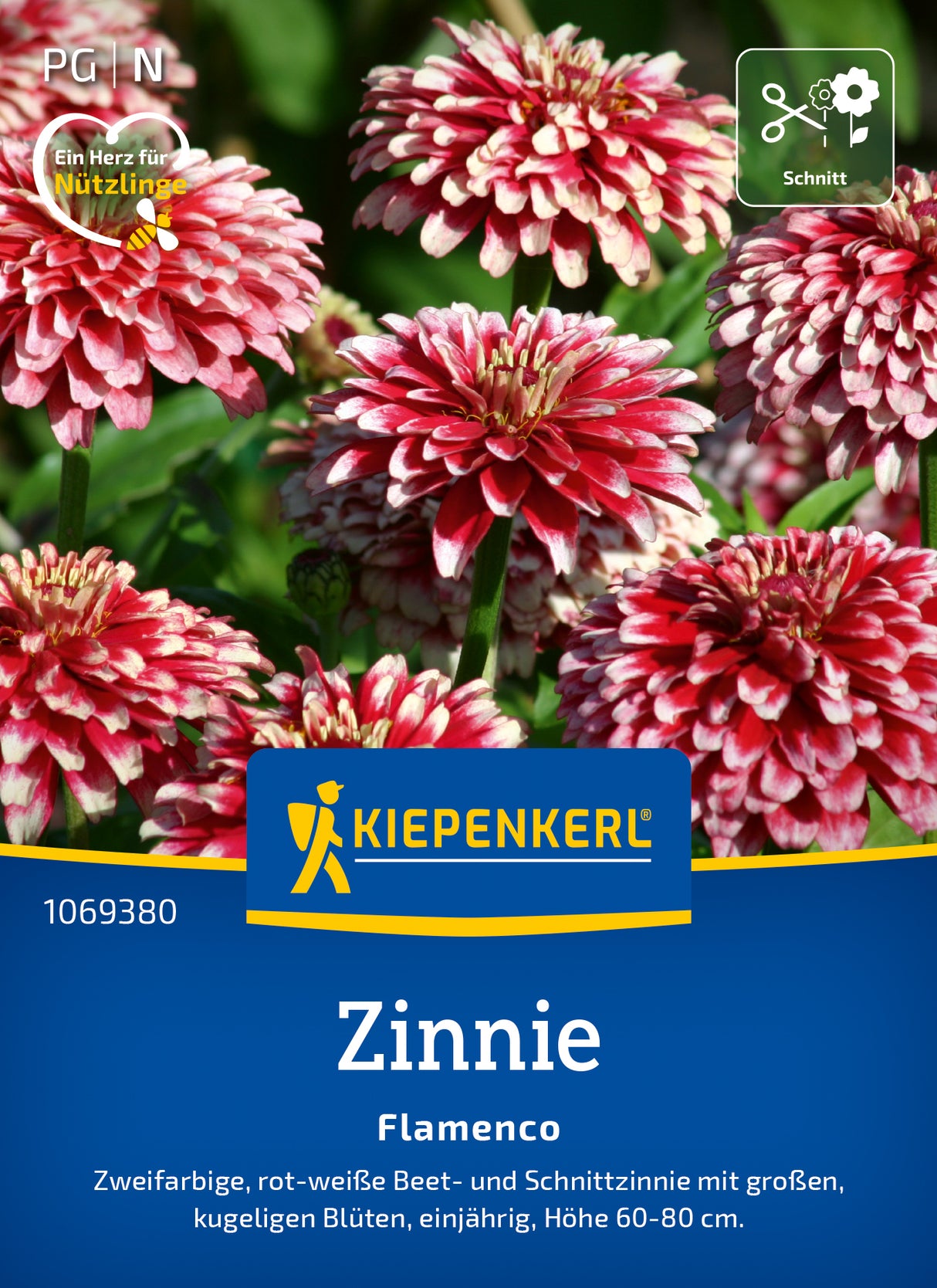 Kiepenkerl Zinnien Flamenco