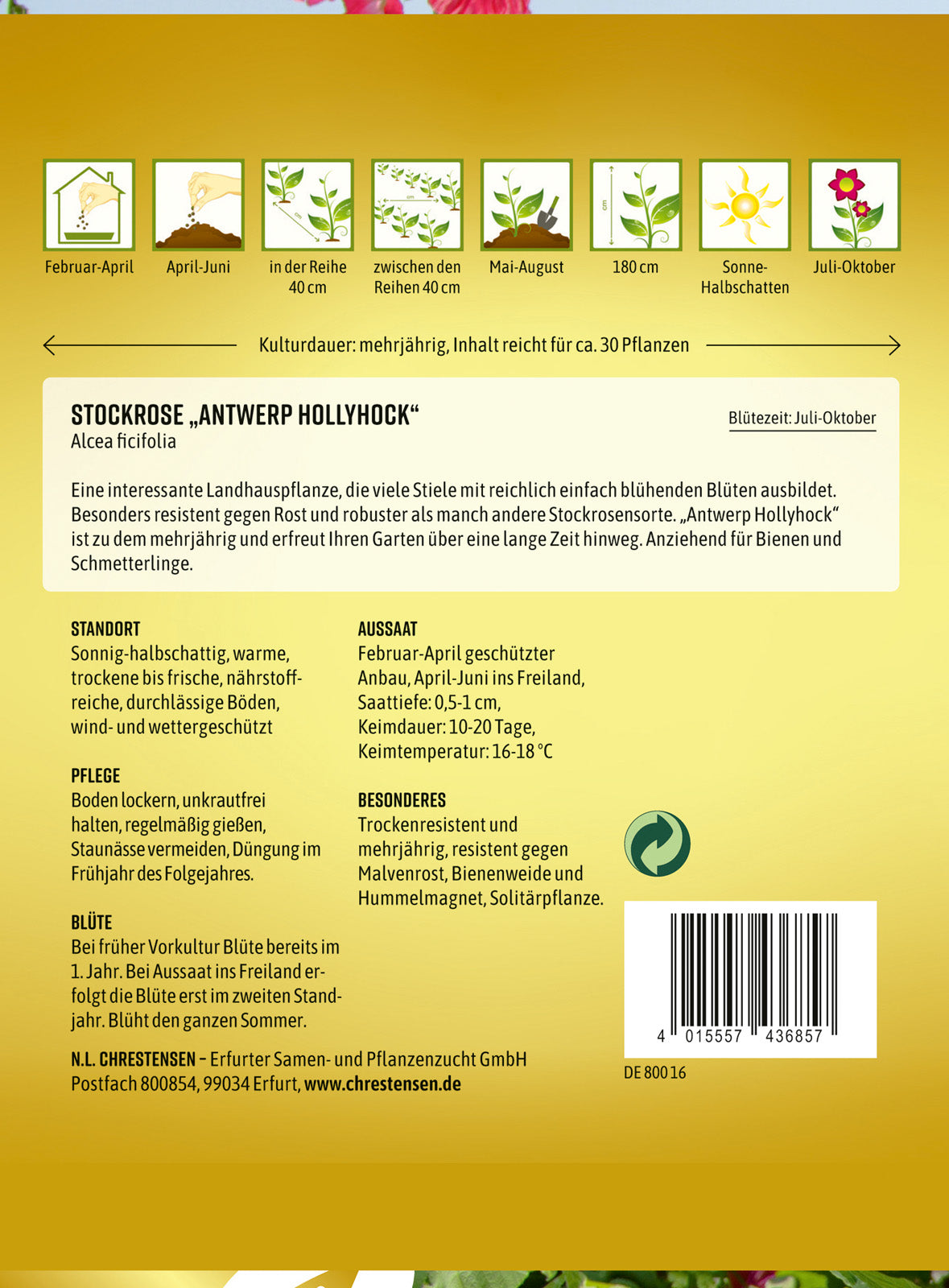 N.L. Chrestensen Stockrose Antwerp Hollyhock