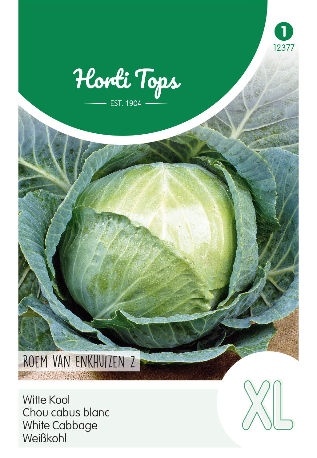 Horti Tops Weißkohl Ruhm von Enkhuizen