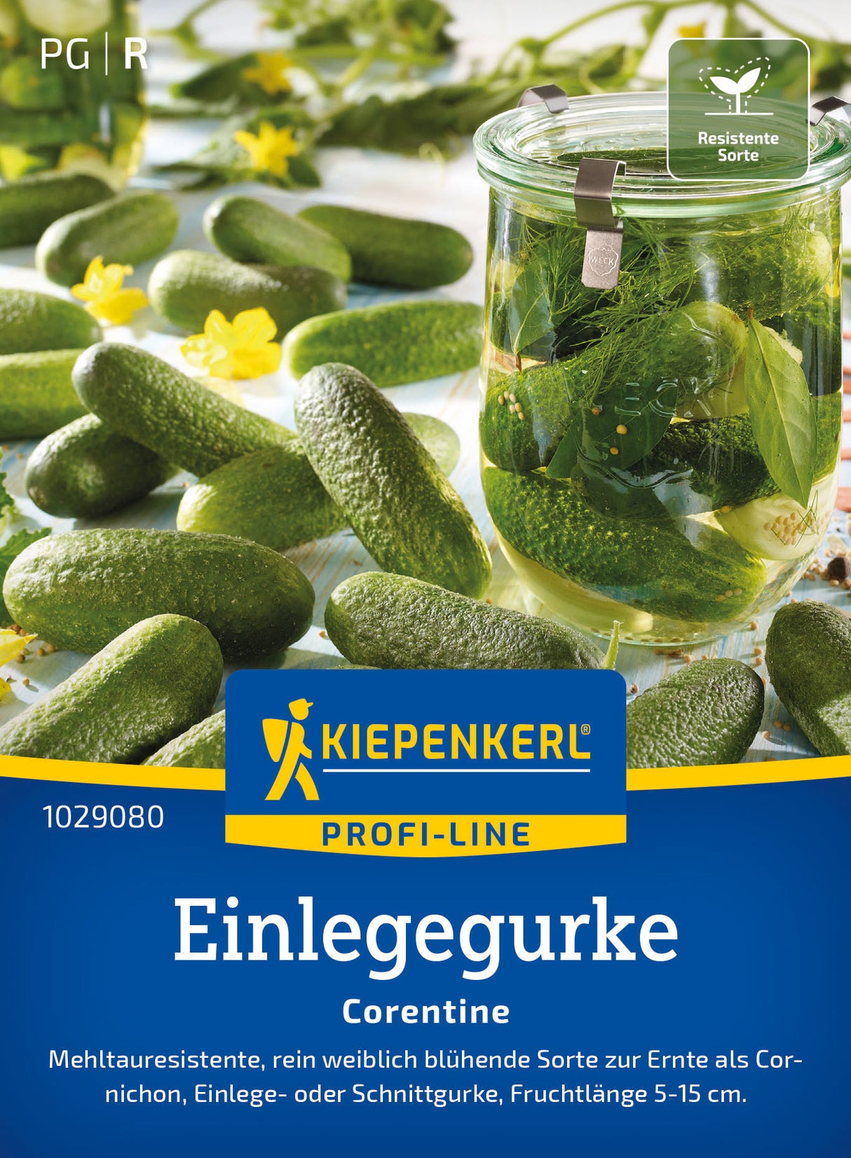 Kiepenkerl Einlegegurken Corentine