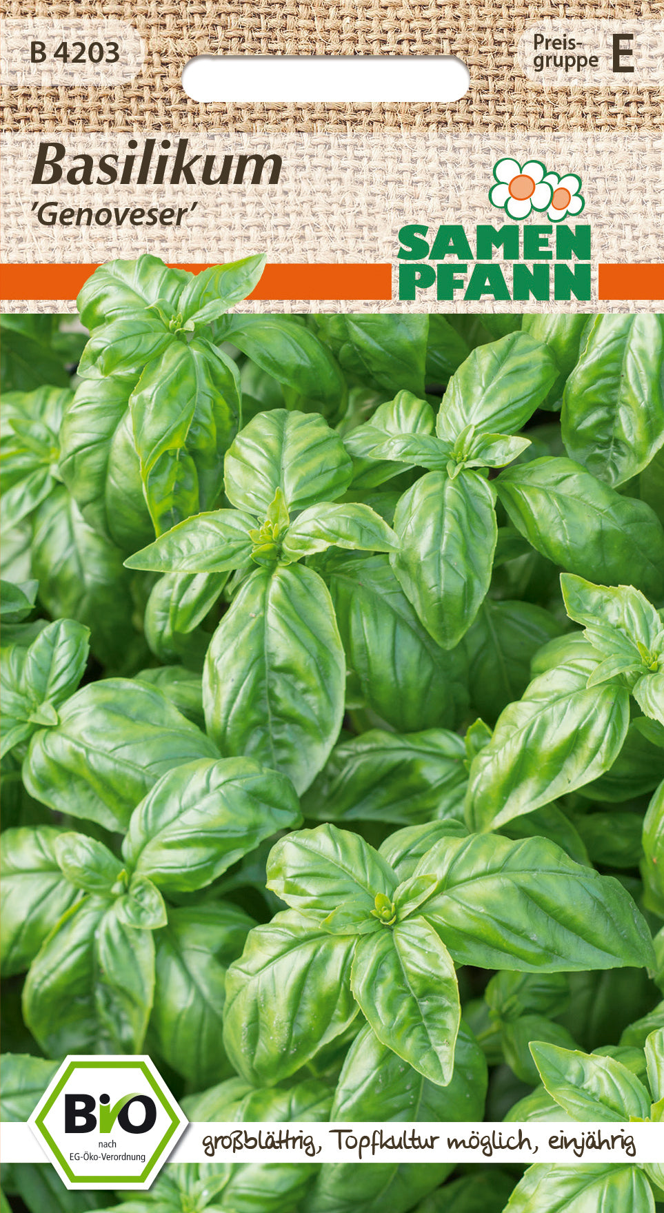 Samen Pfann BIO Basilikum Genoveser