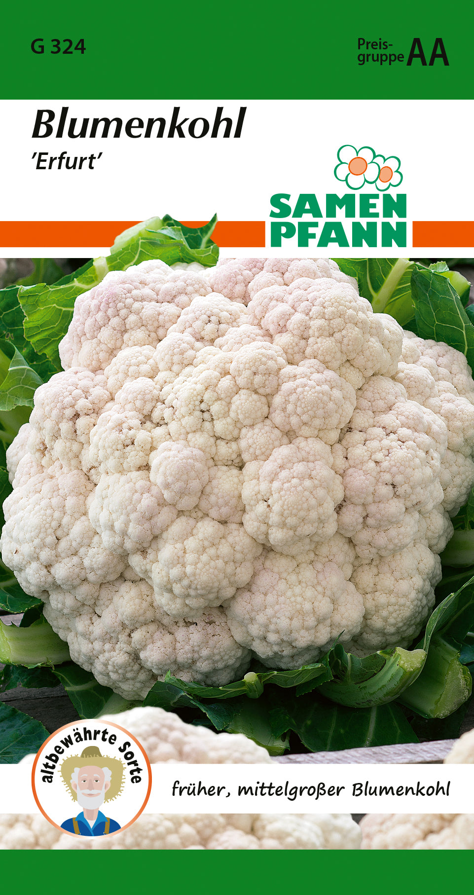 Samen Pfann Blumenkohl Erfurt