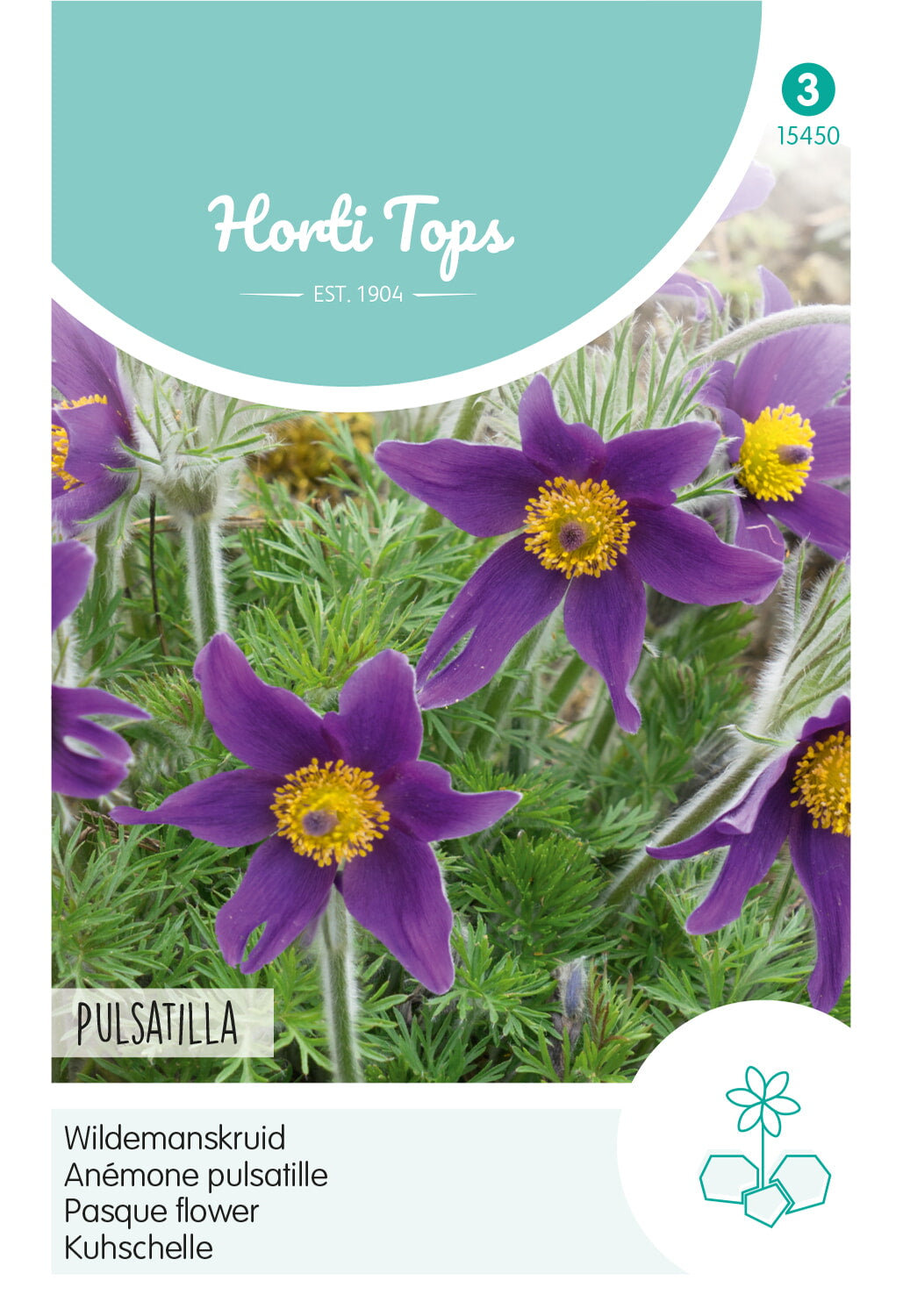 Horti Tops Kuhschelle Vulgaris