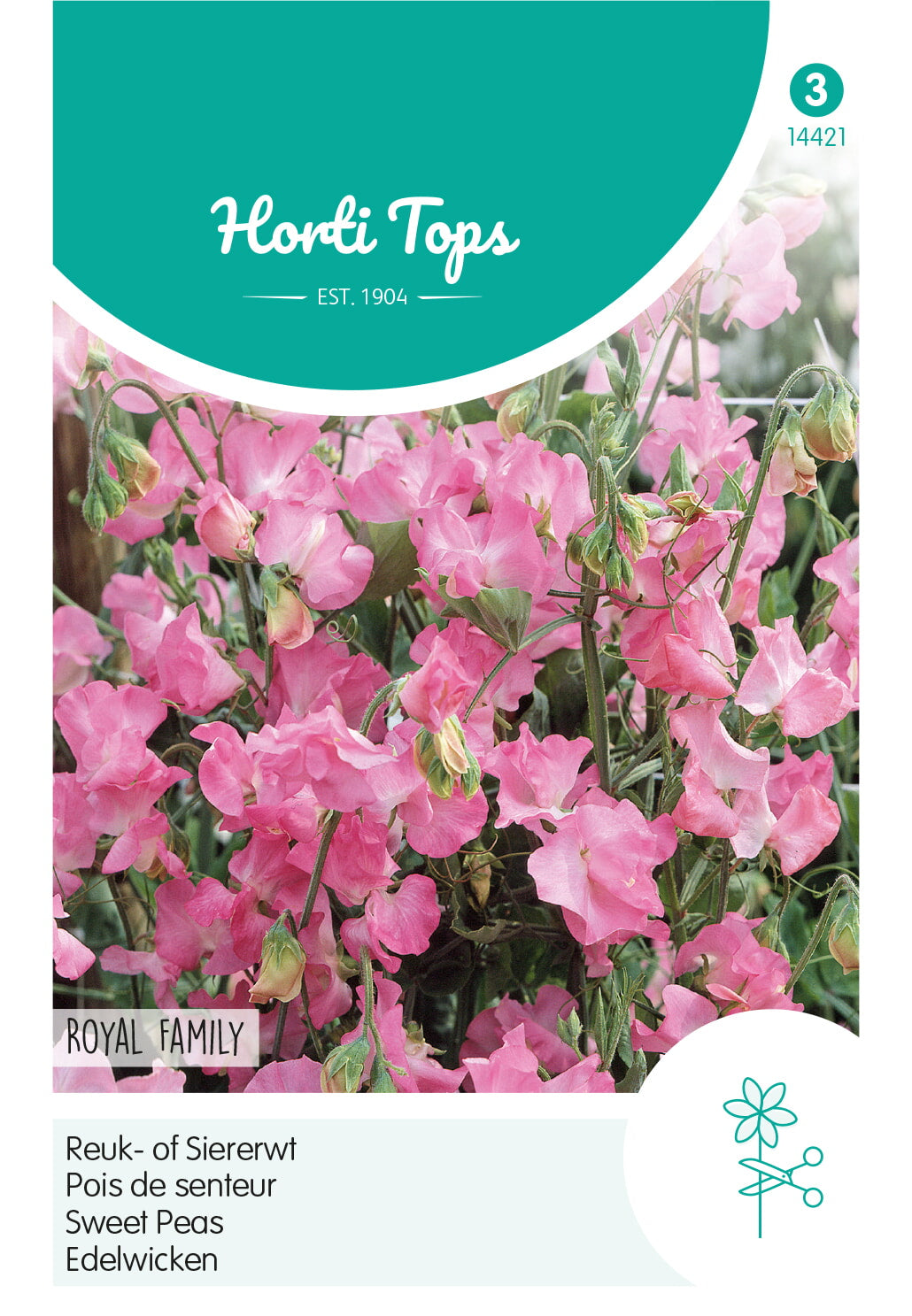 Horti Tops Duftwicke Royal Leuchtendrosa