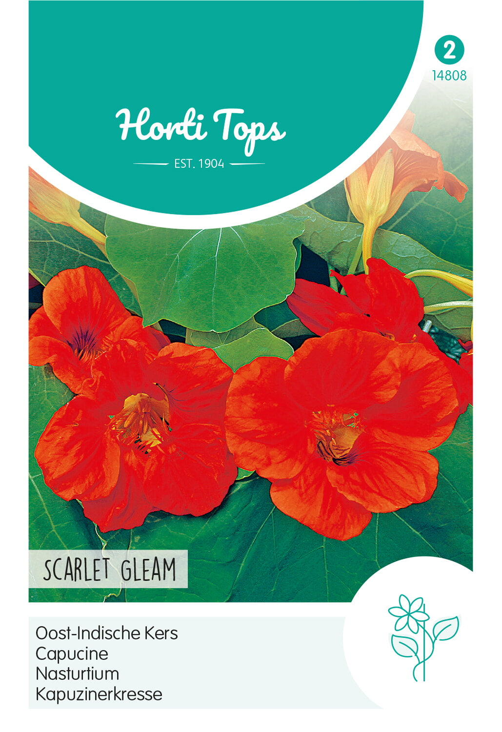 Horti Tops Große Kapuzinerkresse Gefüllte Scarlet Gleam