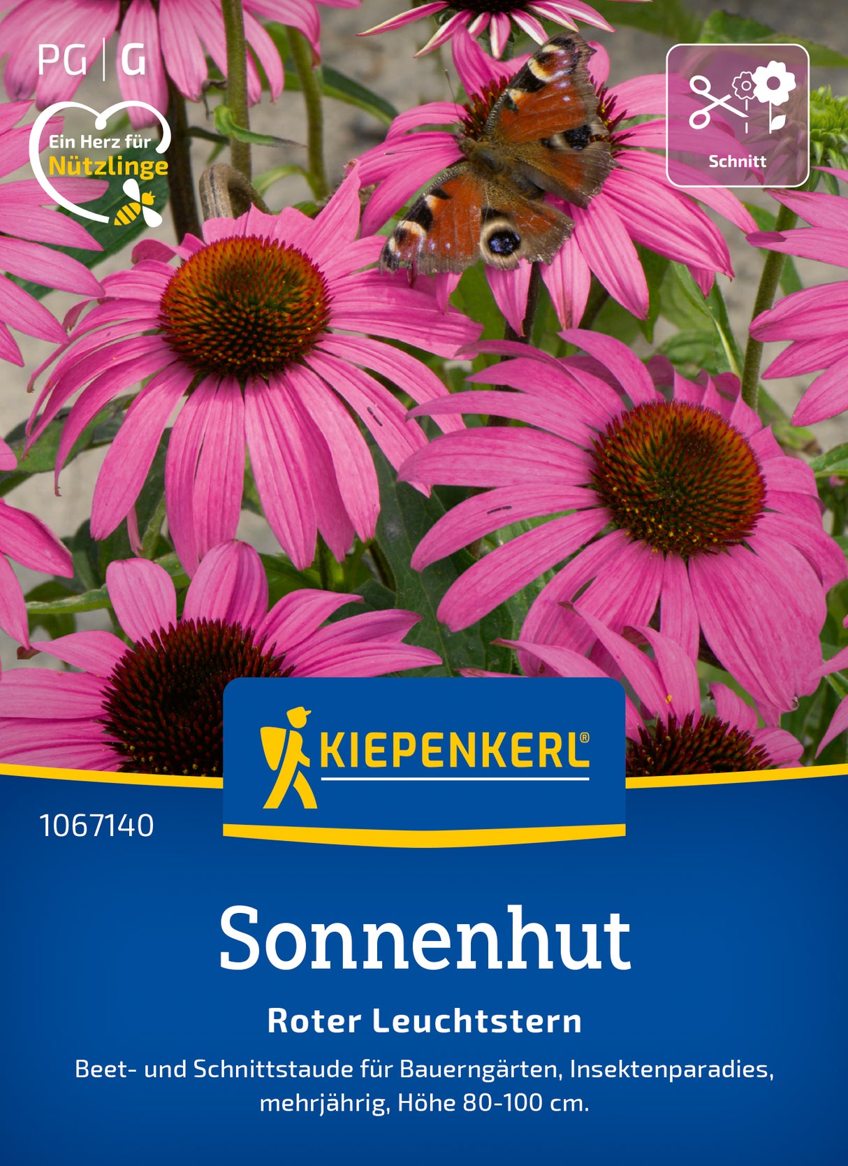 Kiepenkerl Sonnenhut Roter Leuchtstern