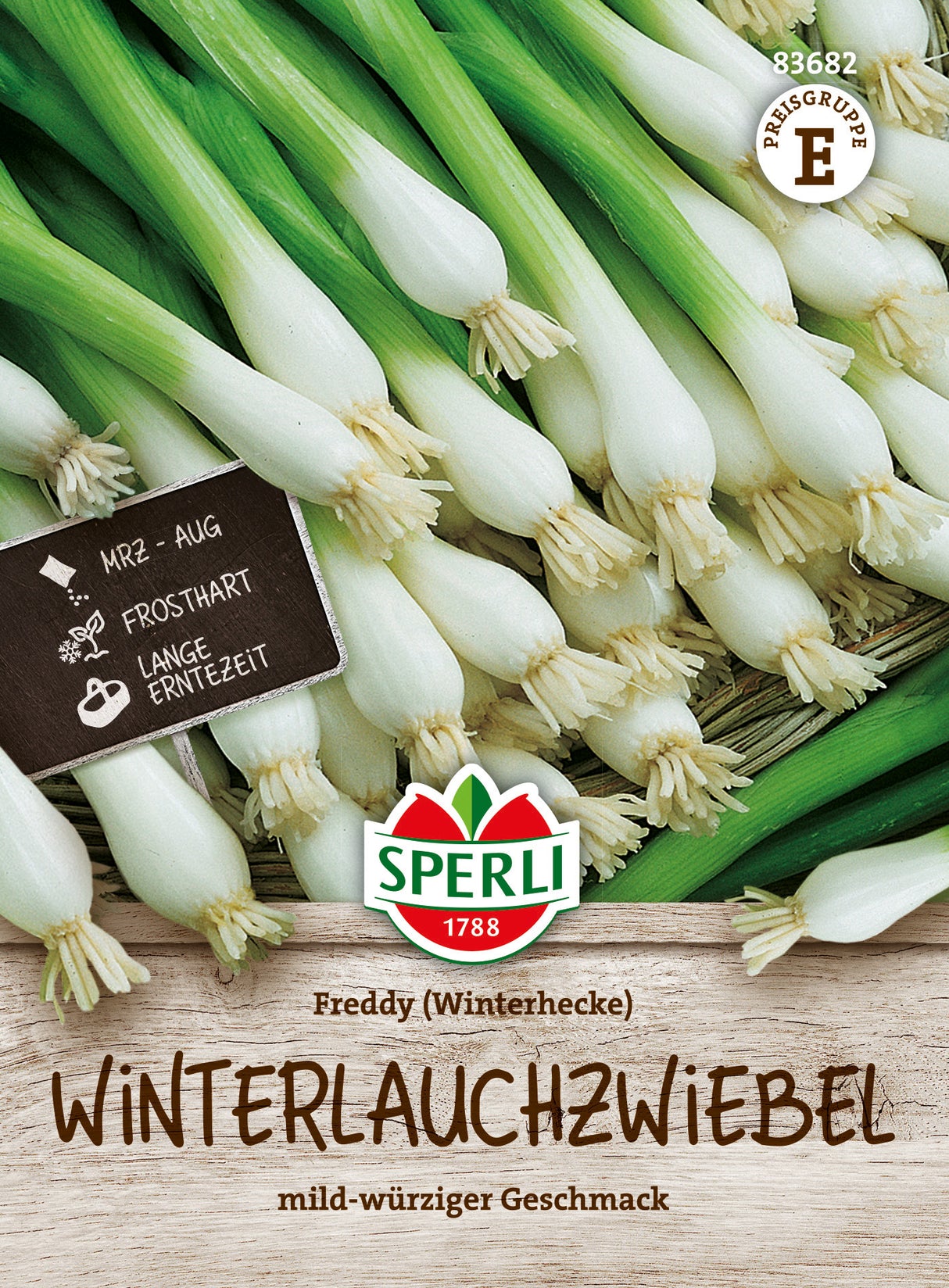 SPERLI Winterlauchzwiebel Freddy (Winterhecke)