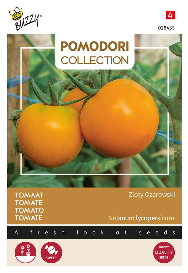 Buzzy Seeds Tomate Zloty Ozarowski