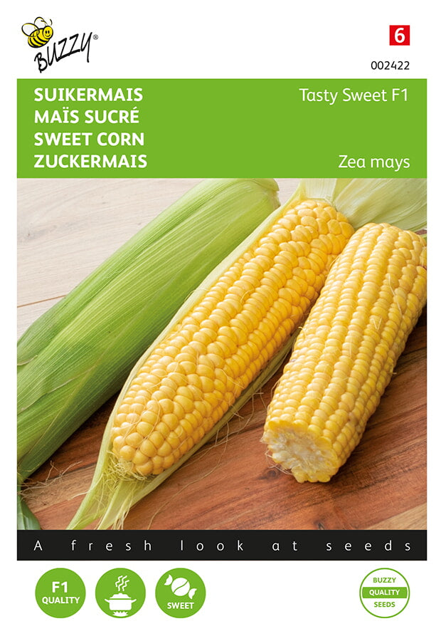 Buzzy Seeds Zuckermais Tasty Sweet F1
