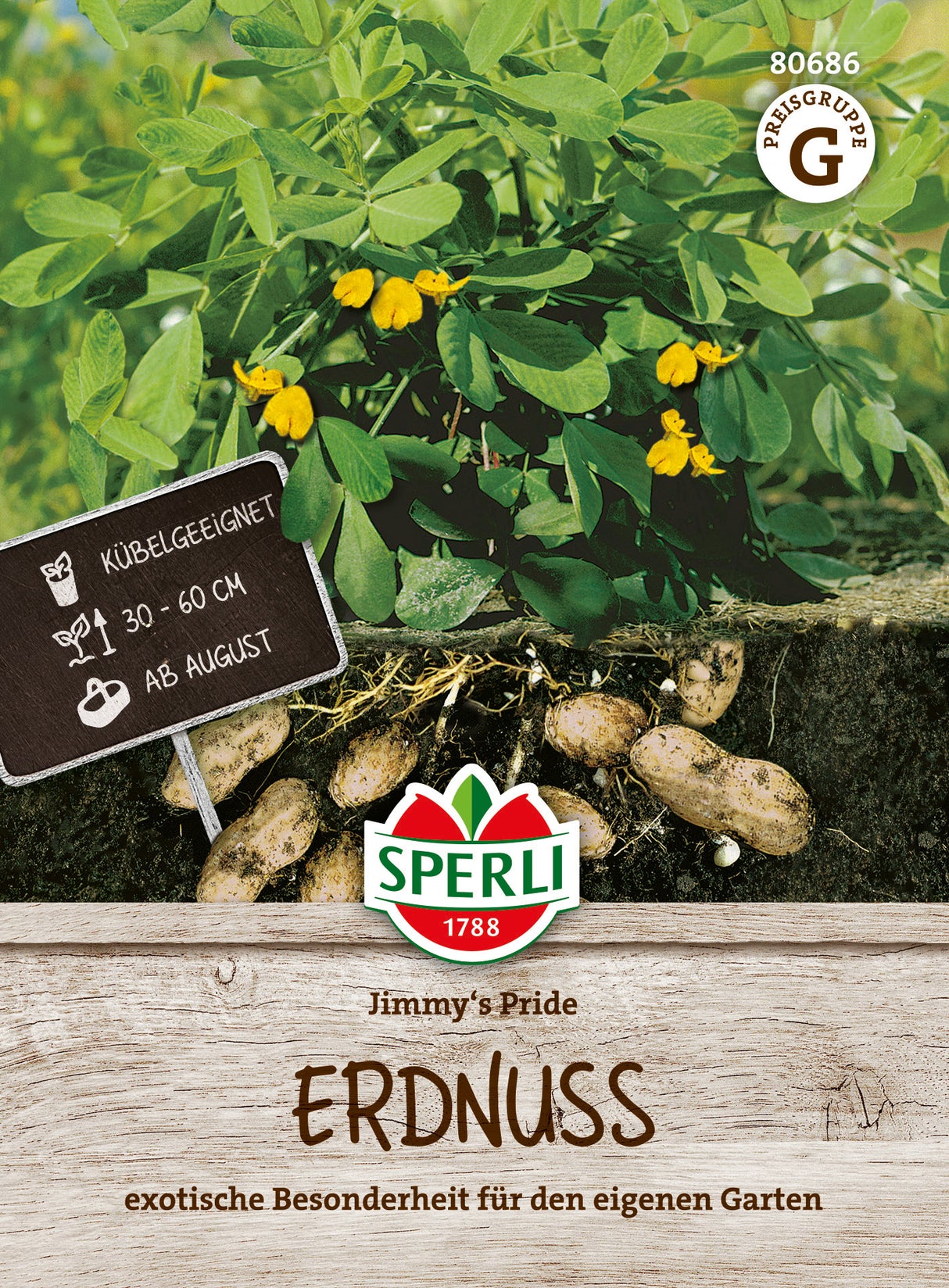 SPERLI Erdnuss Jimmy's Pride