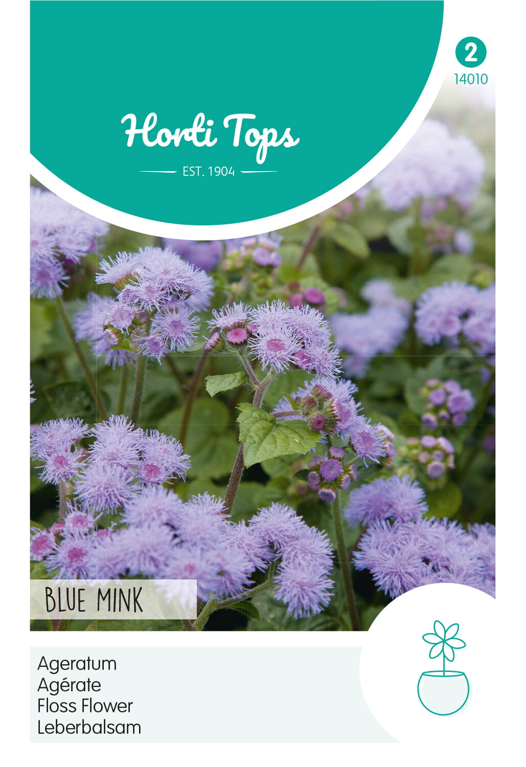 Horti Tops Leberbalsam Blue Mink