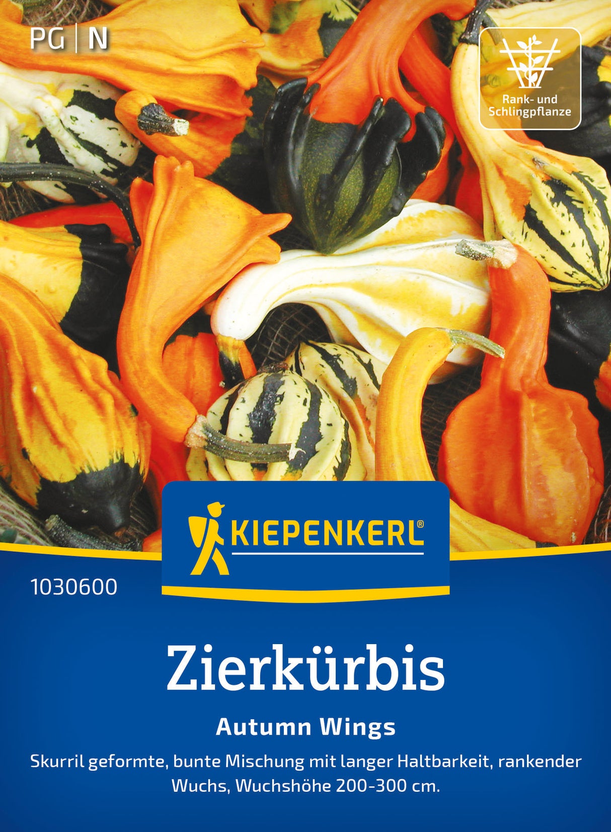 Kiepenkerl Kürbis Autumn Wings