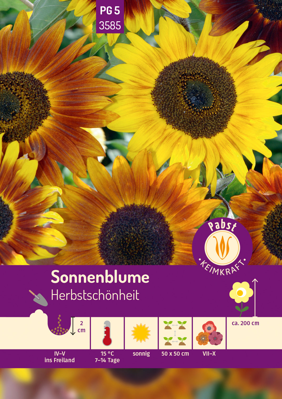 Pabst Keimkraft Sonnenblumen Herbstschönheit Mischung