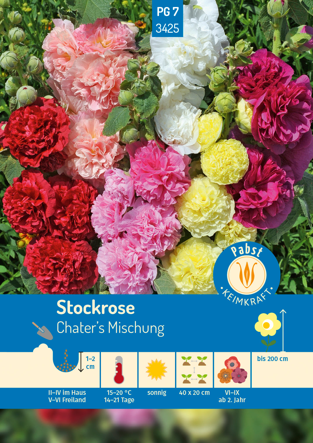 Pabst Keimkraft Stockrosen Gefüllte Mischung