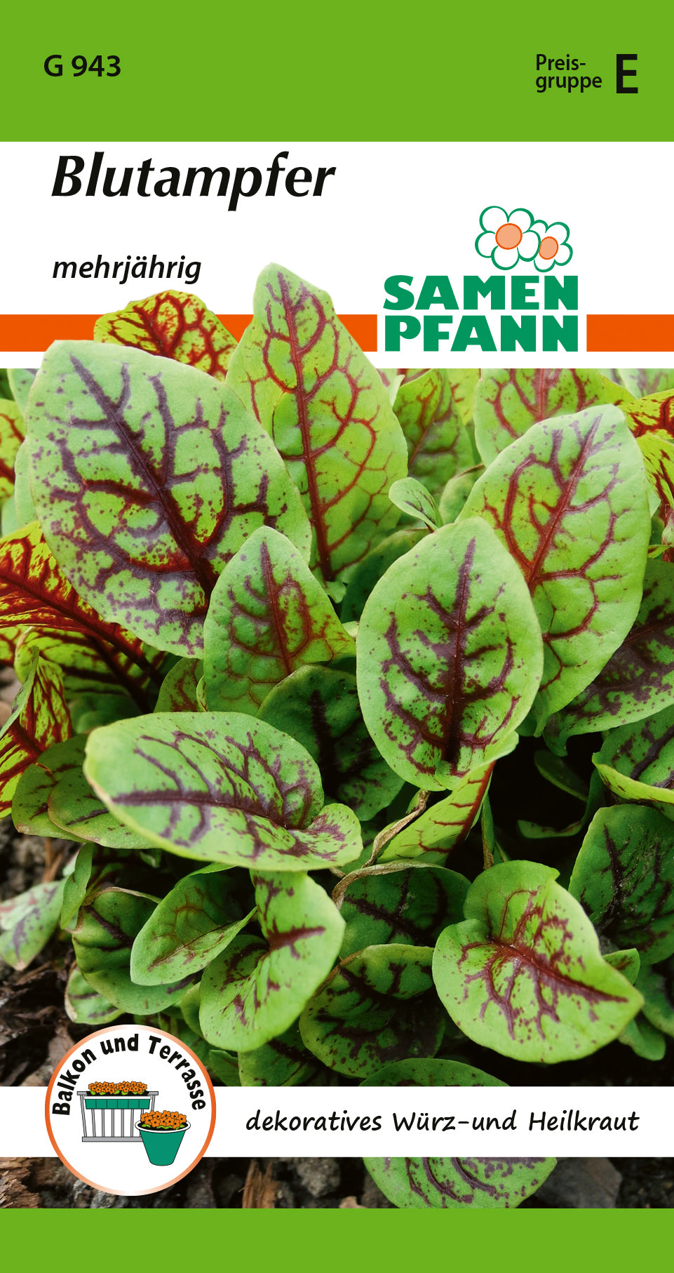 Samen Pfann Blutampfer Mehrjährig