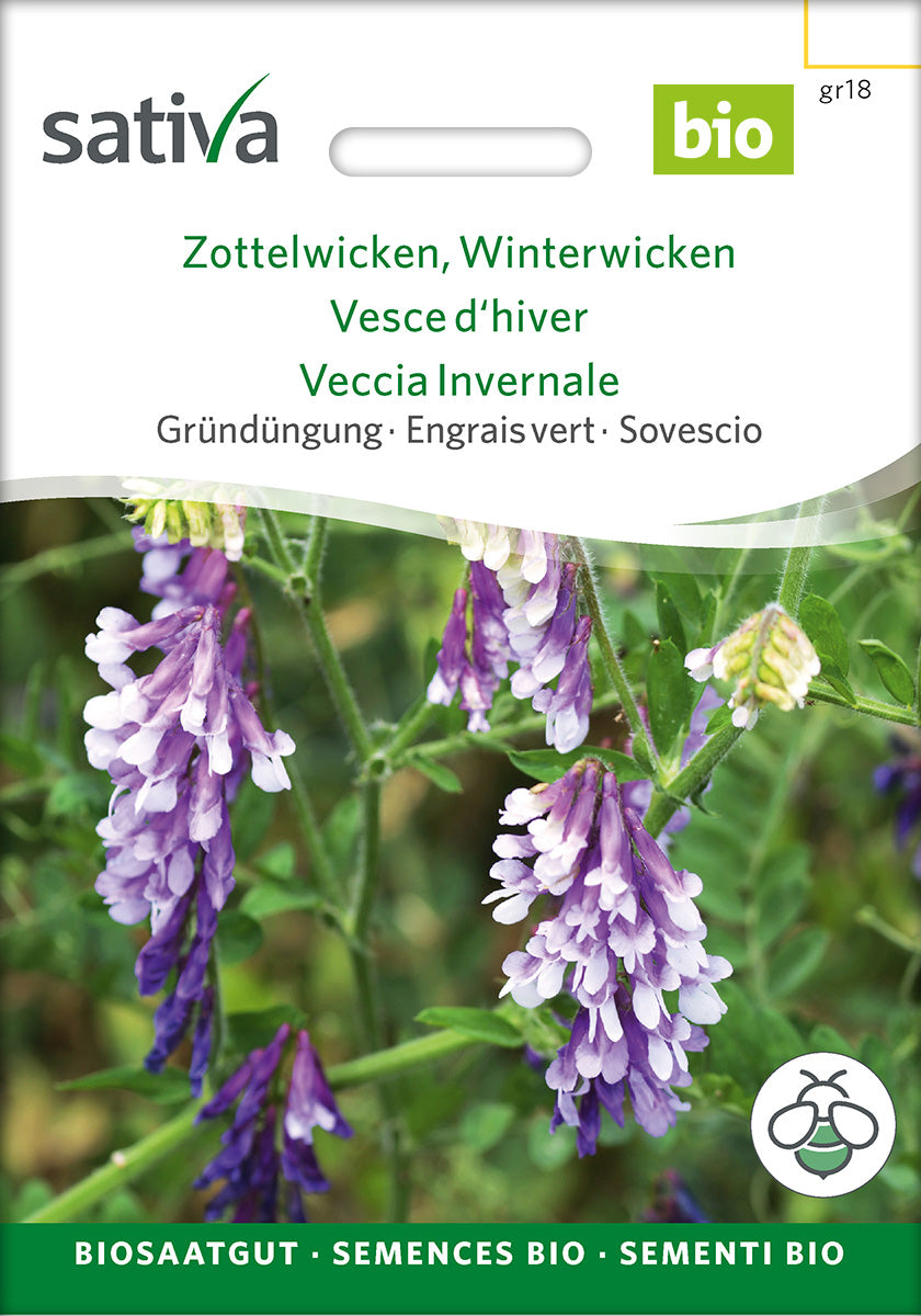 Sativa BIO Gründüngung Zottelwicken, Winterwicken