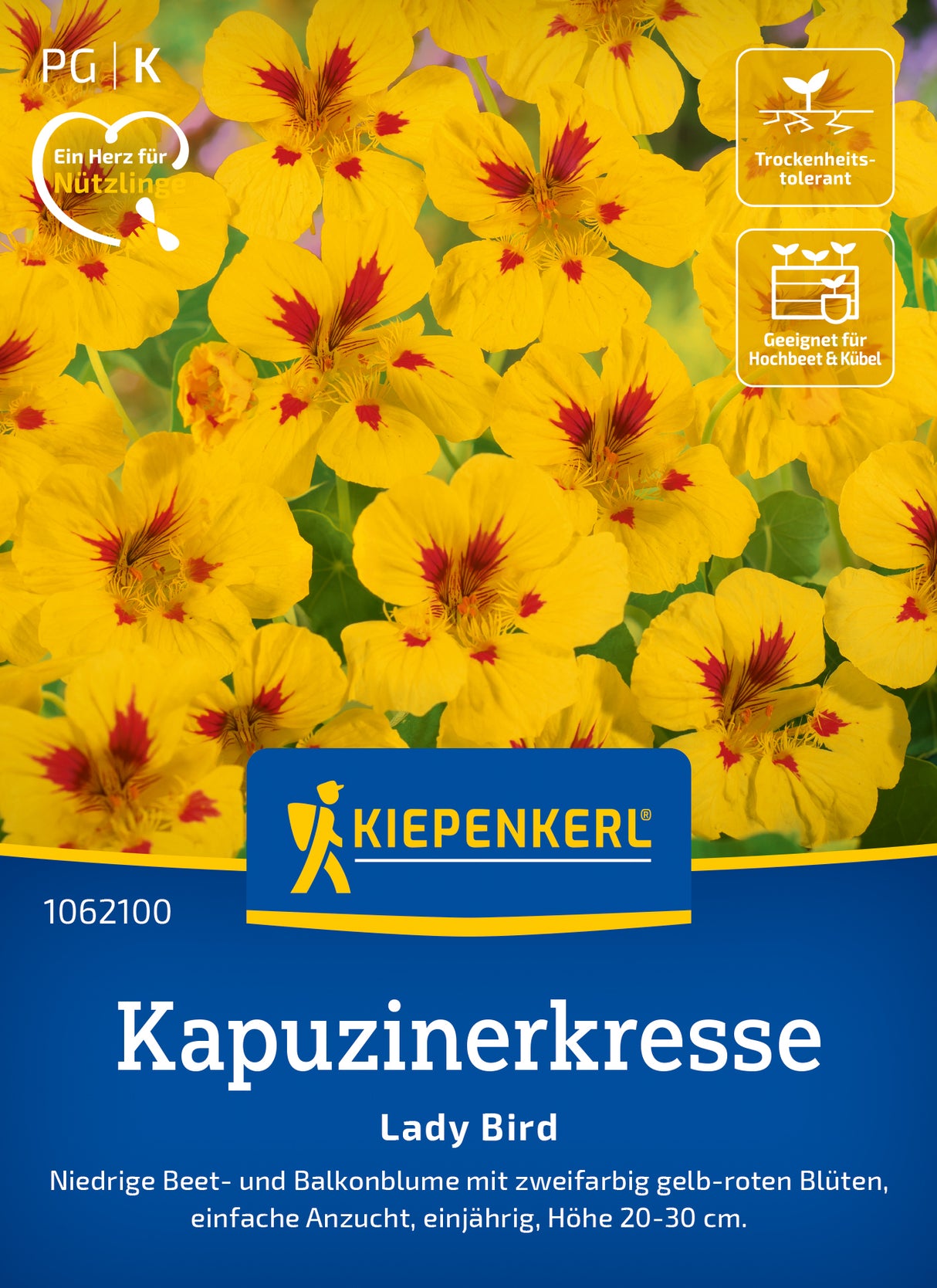 Kiepenkerl Kapuzinerkresse Lady Bird