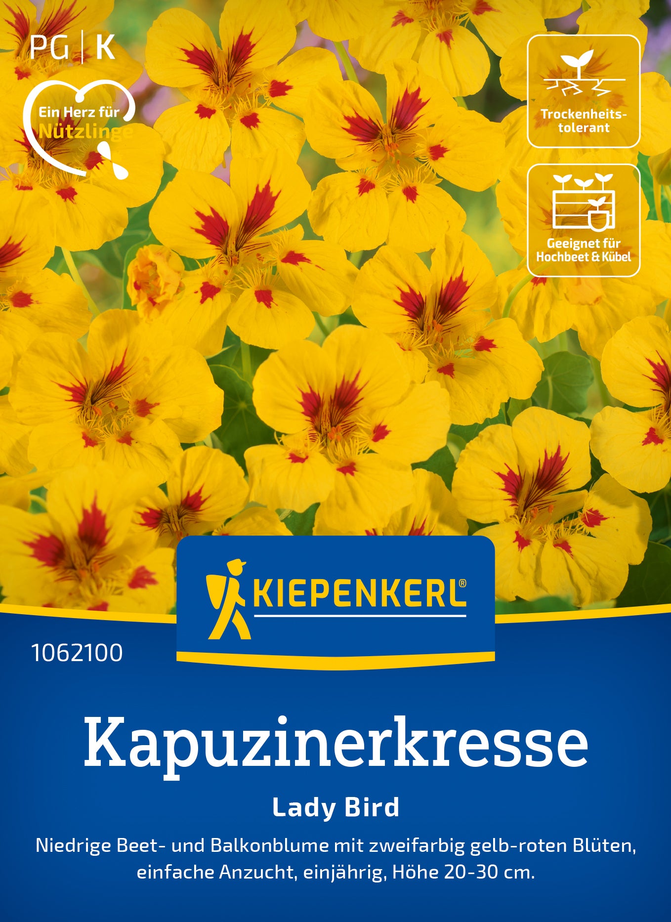 Kiepenkerl Kapuzinerkresse Lady Bird