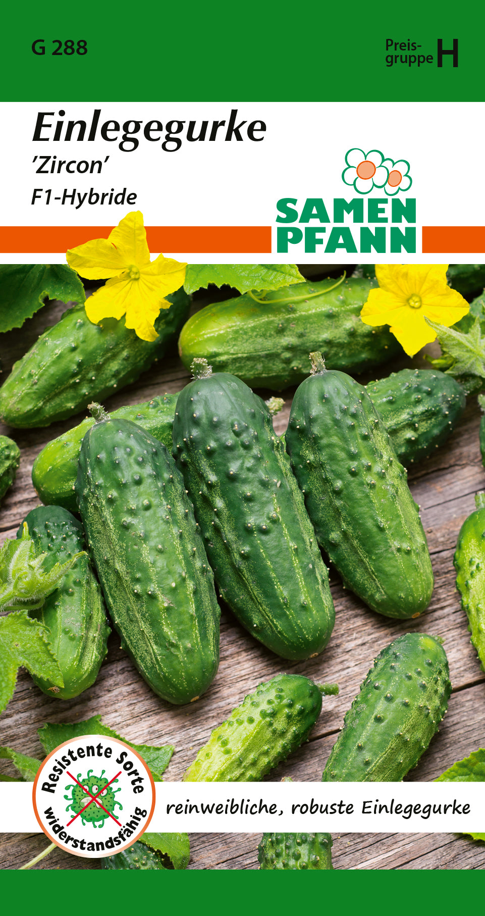 Samen Pfann Zircon Einlegegurken