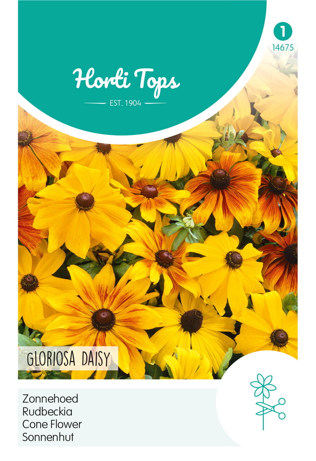 Horti Tops Sonnenhut Hirta Gloriosa Daisies Mischung