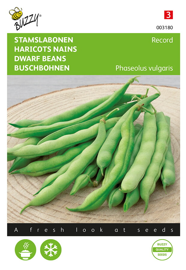 Buzzy Seeds Buschbohnen Record