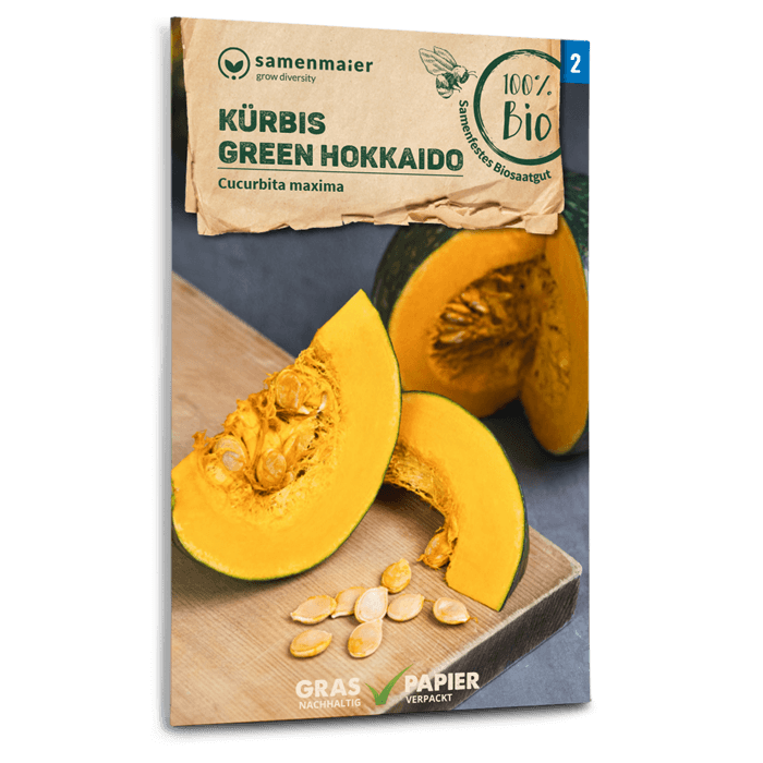 Samen Maier BIO Kürbis Green Hokkaido