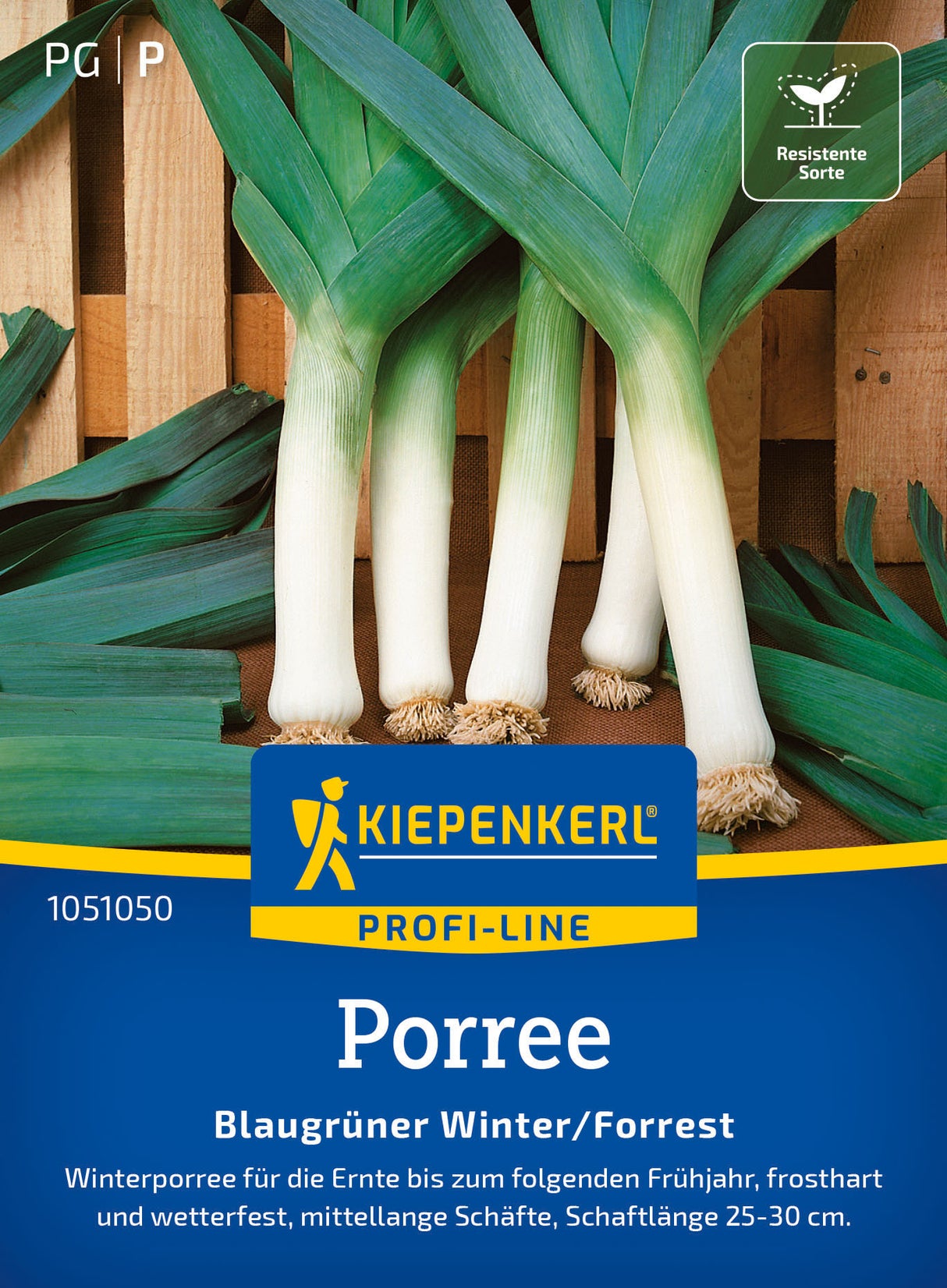 Kiepenkerl Lauch Blaugrüner Winter/Forrest