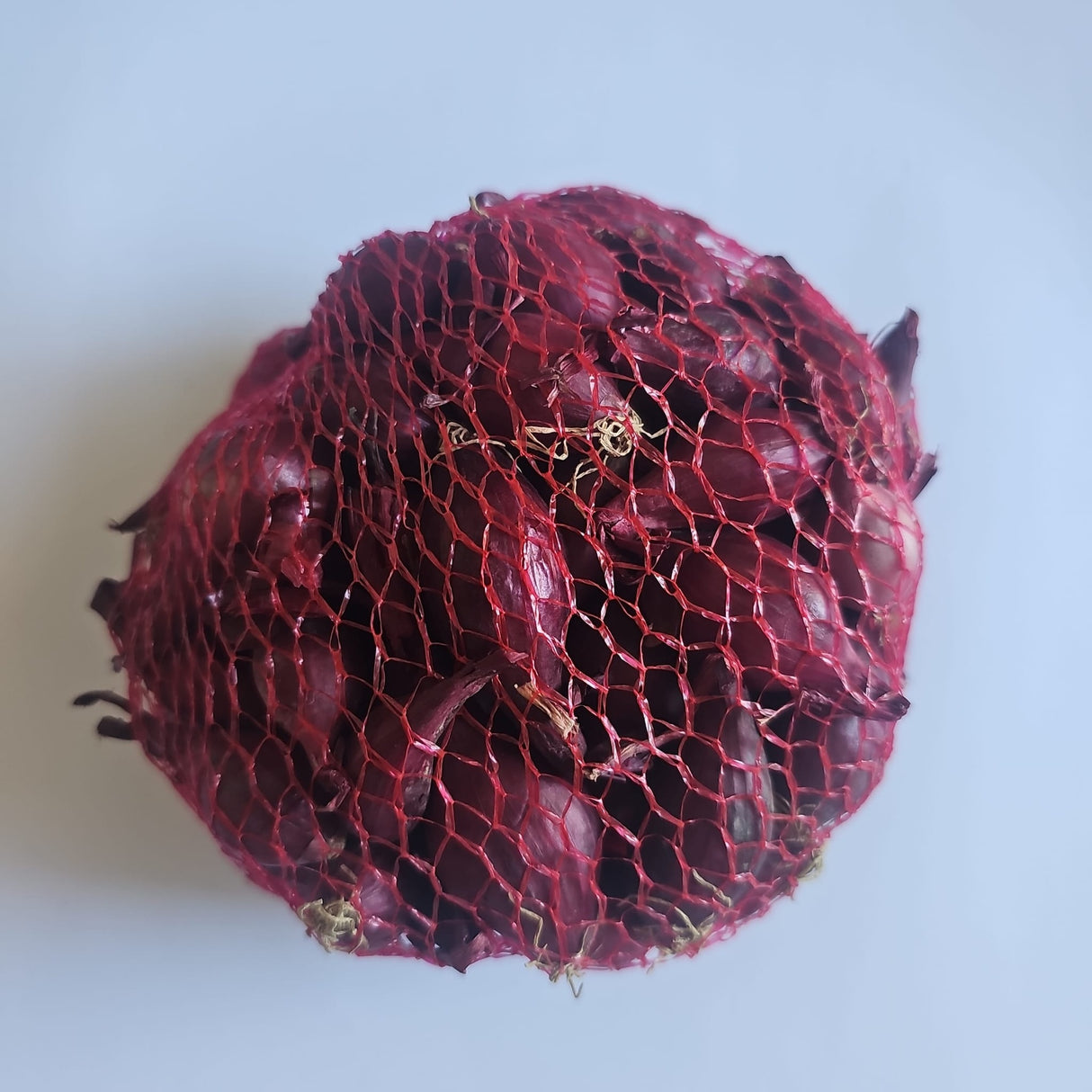 Samen Pfann Rote Wintersteckzwiebel Red Akado 250 Gramm