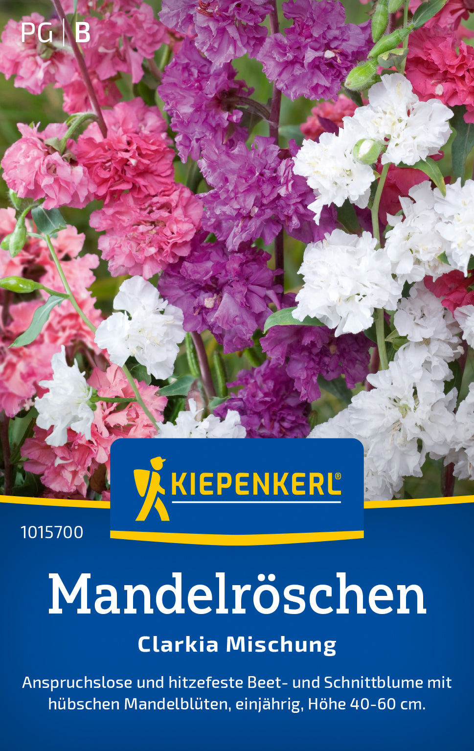 Kiepenkerl Mandelröschen Clarkia Mischung