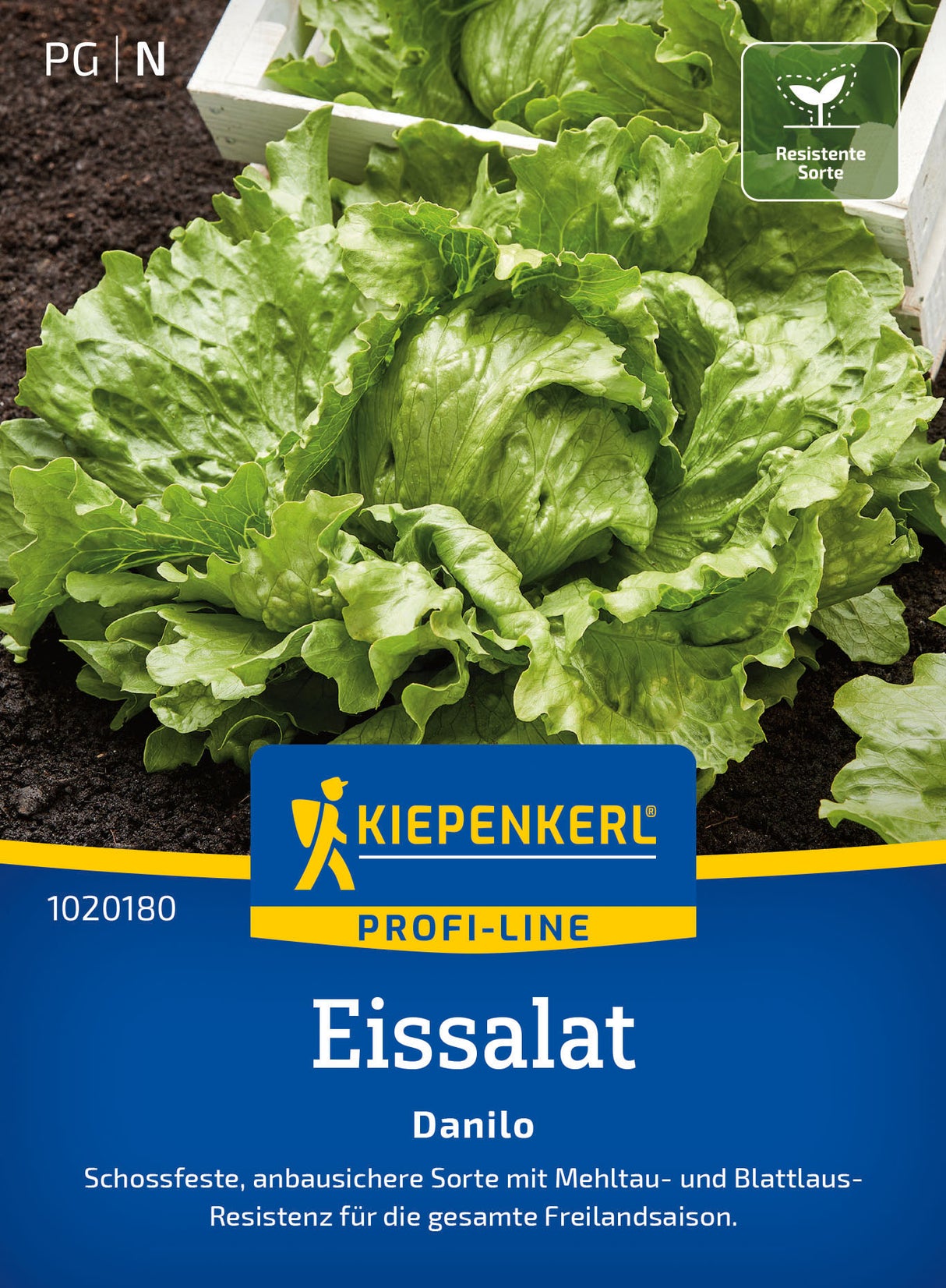 Kiepenkerl Eisbergsalat Danilo