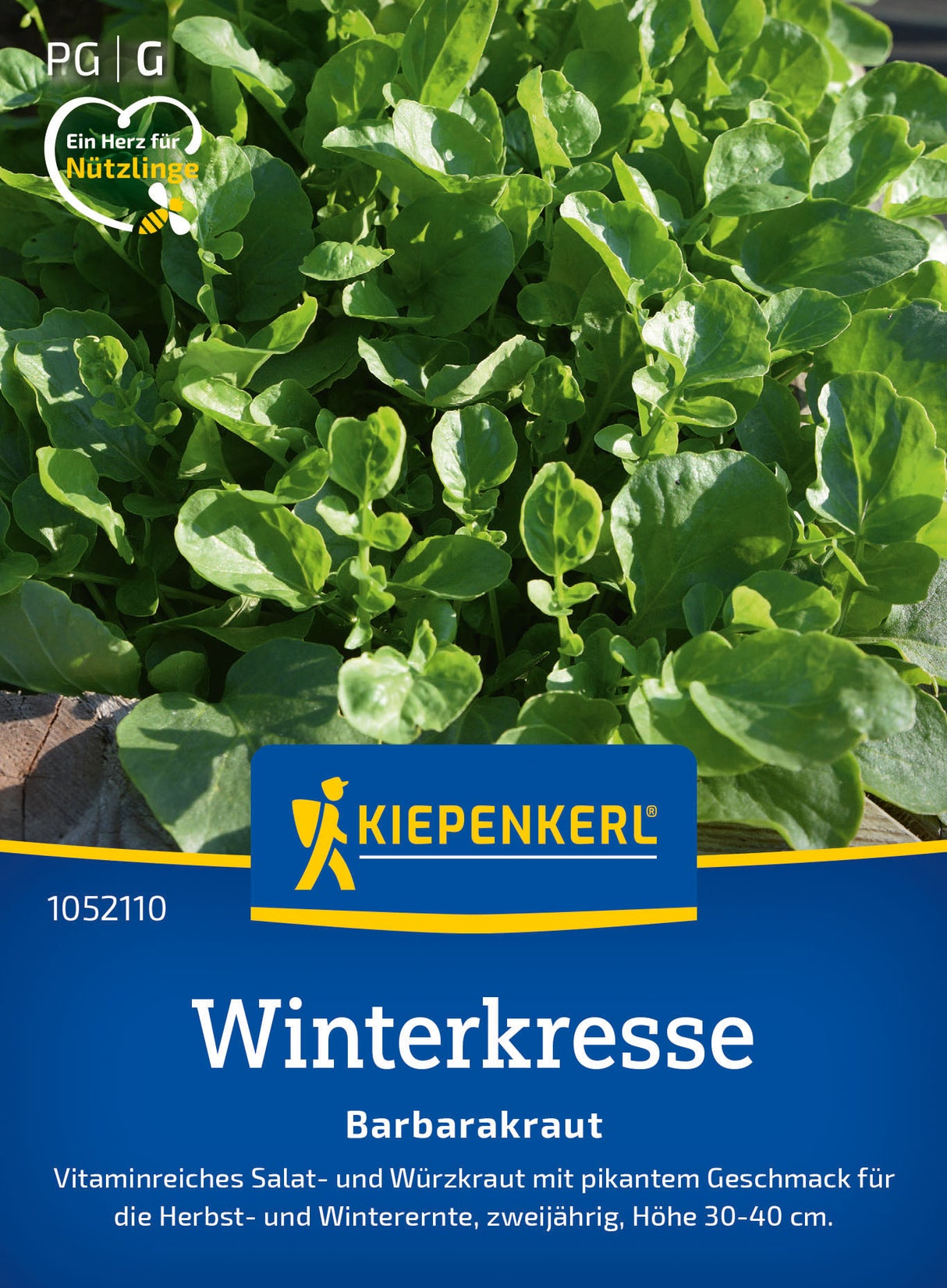 Kiepenkerl Winterkresse Barbarakraut