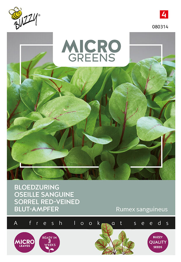 Buzzy Seeds Microgreens Blut-Ampfer