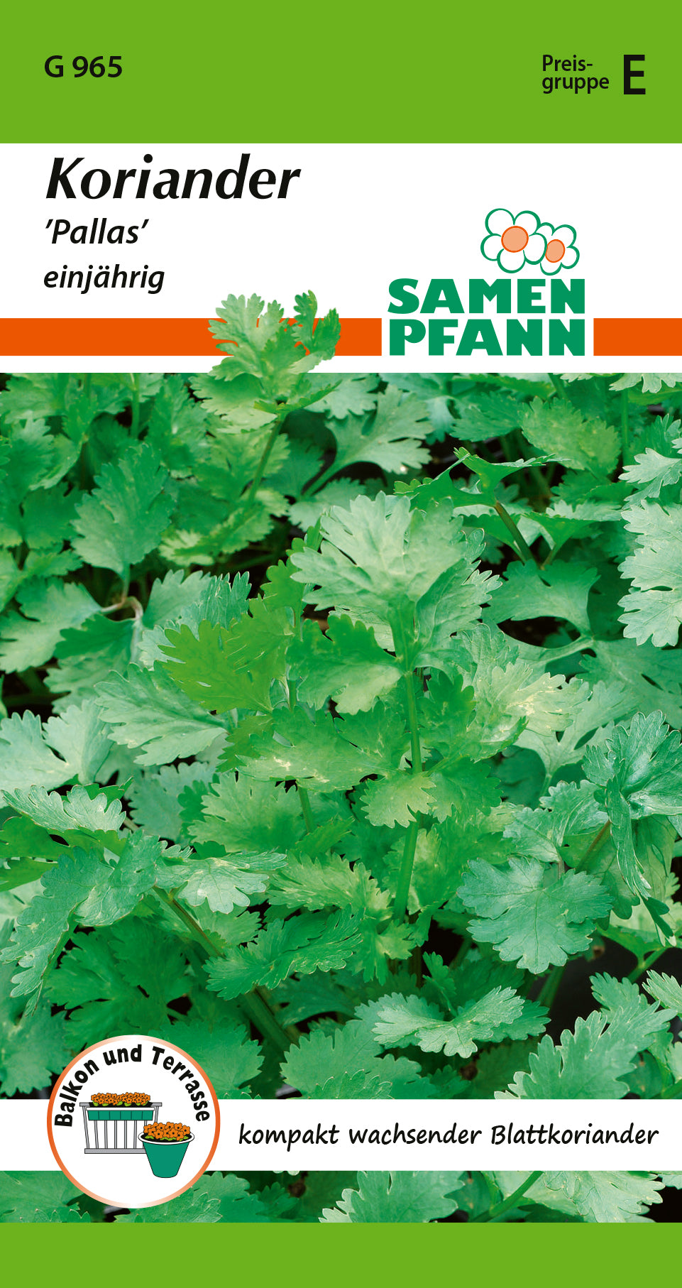 Samen Pfann Pallas Koriander