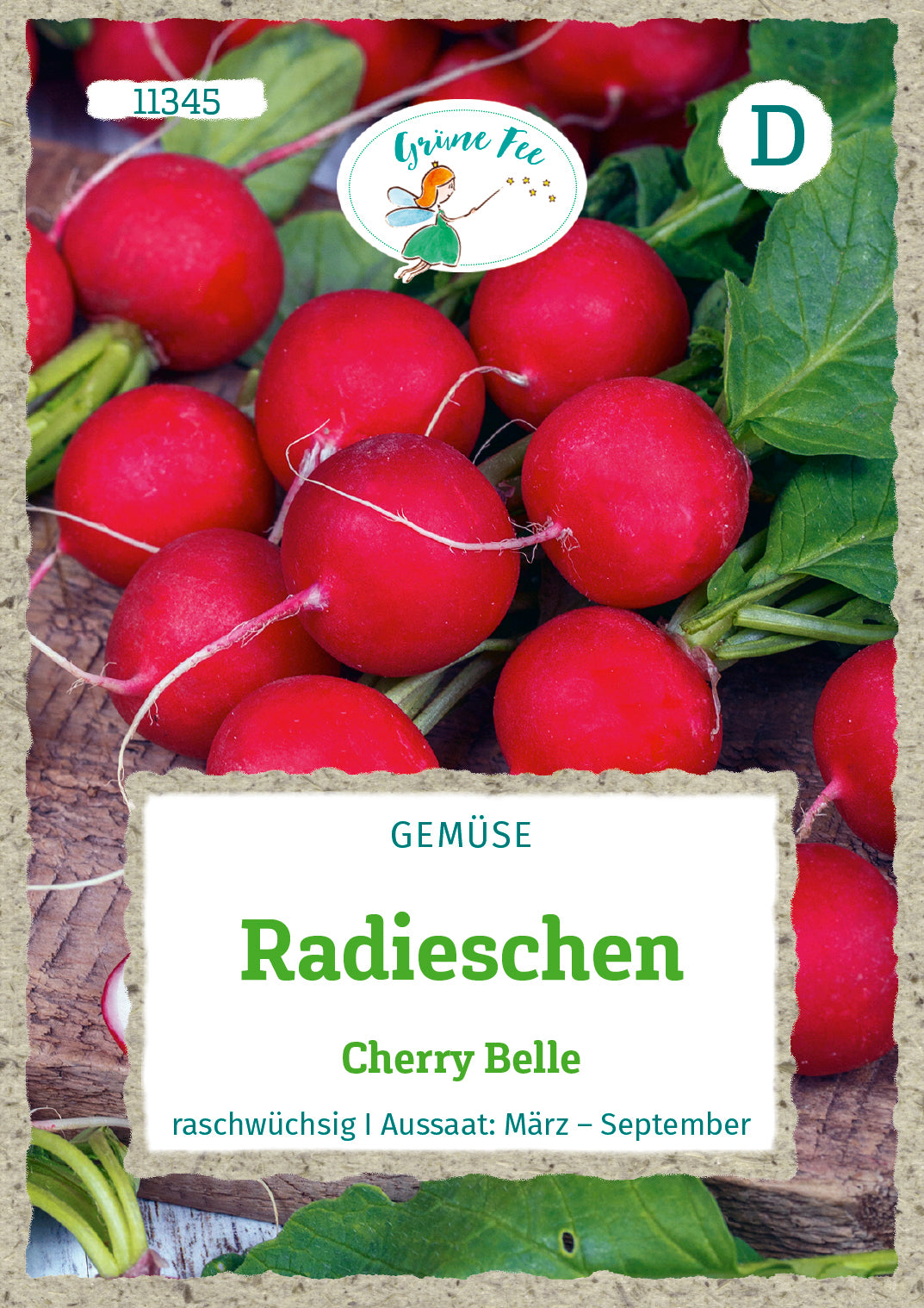 Grüne Fee Radieschen Cherry Belle