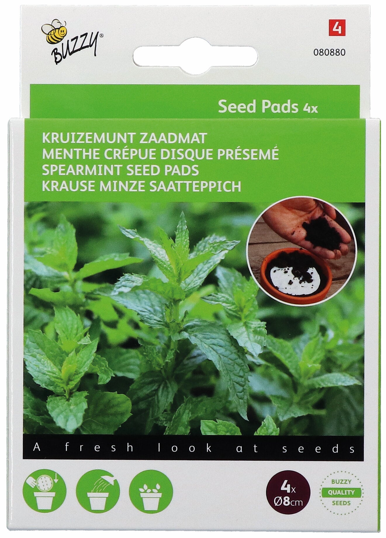 Buzzy Seeds Krause Minze  Saatscheibe