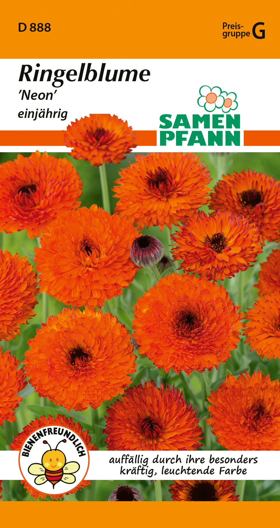 Samen Pfann Ringelblume Neon einjährig
