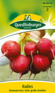 Quedlinburger Radieschen Riesenbutter