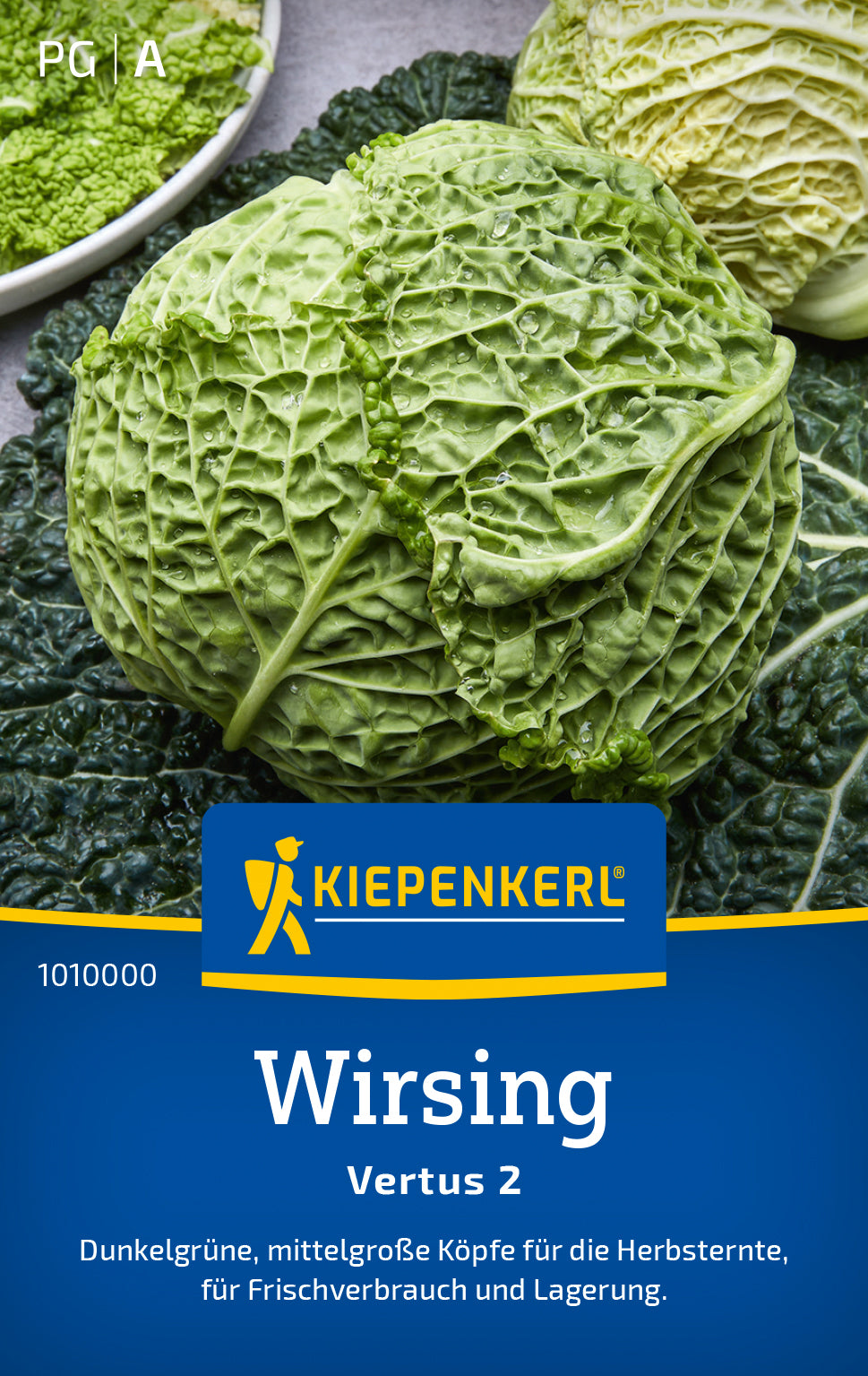 Kiepenkerl Wirsing Vertus 2