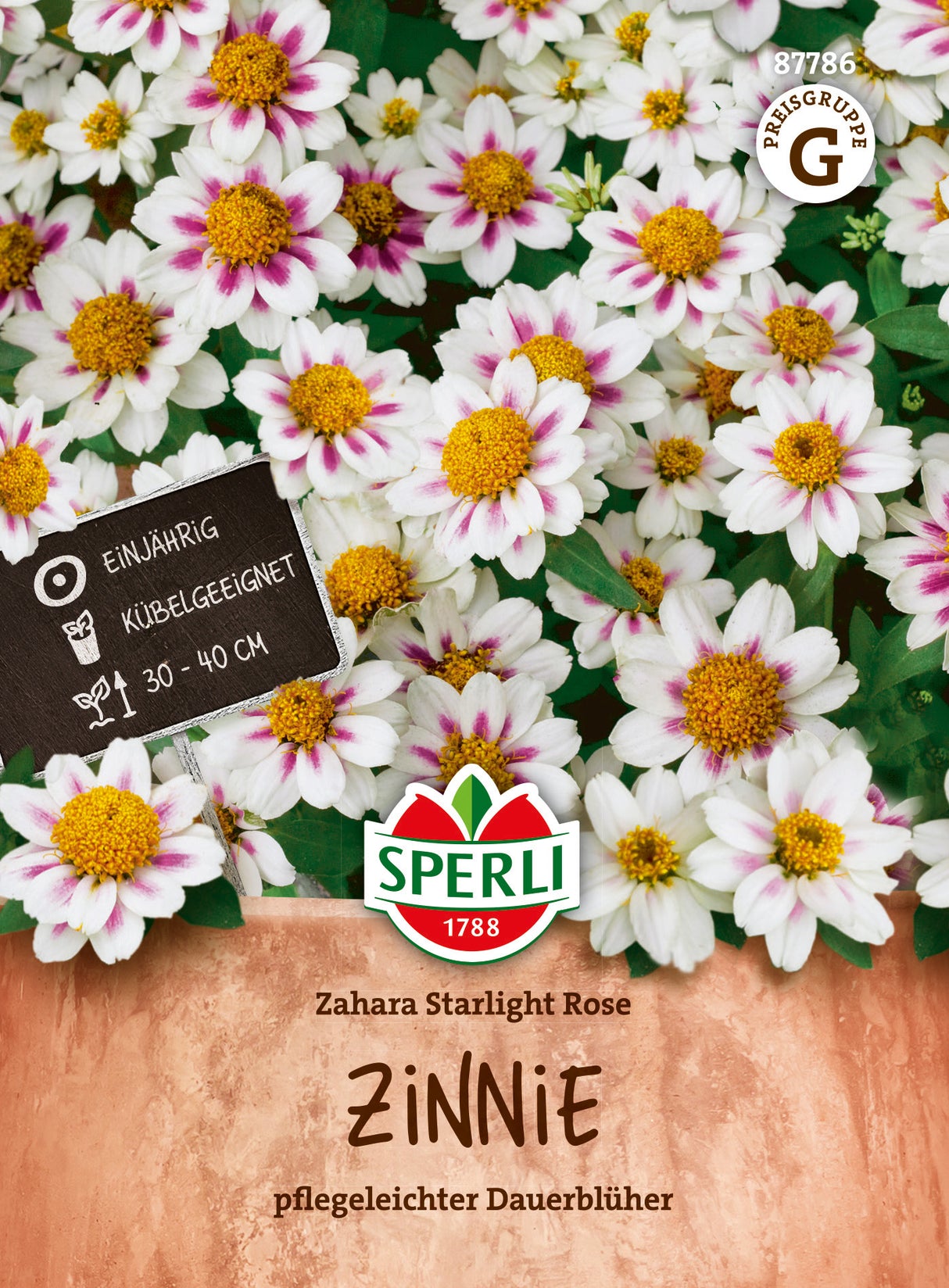 SPERLI Zinnie Zahara Starlight Rose