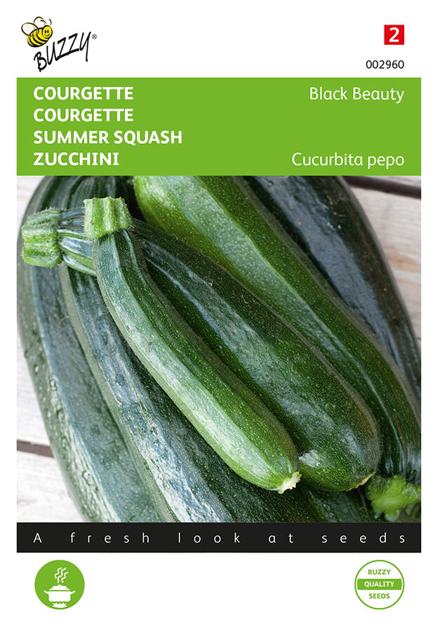Buzzy Seeds Zucchini Black Beauty