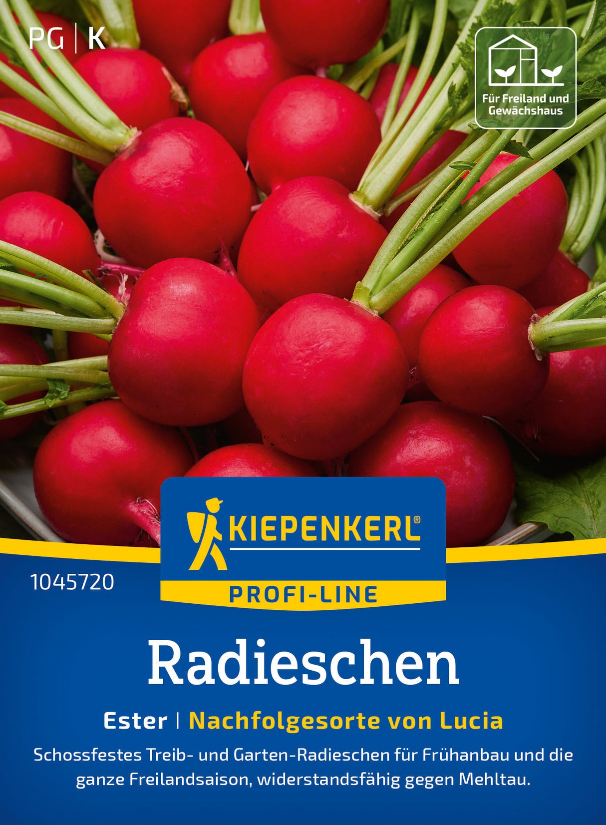 Kiepenkerl Radieschen Ester