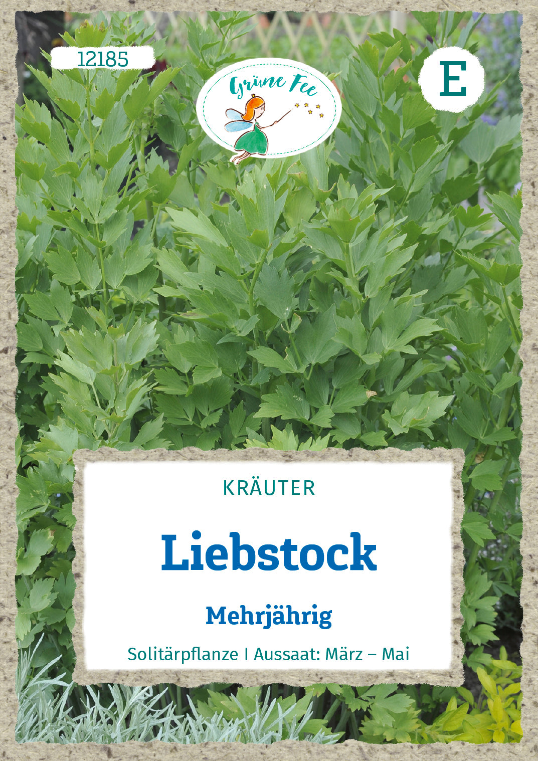 Grüne Fee Liebstöckel Maggikraut