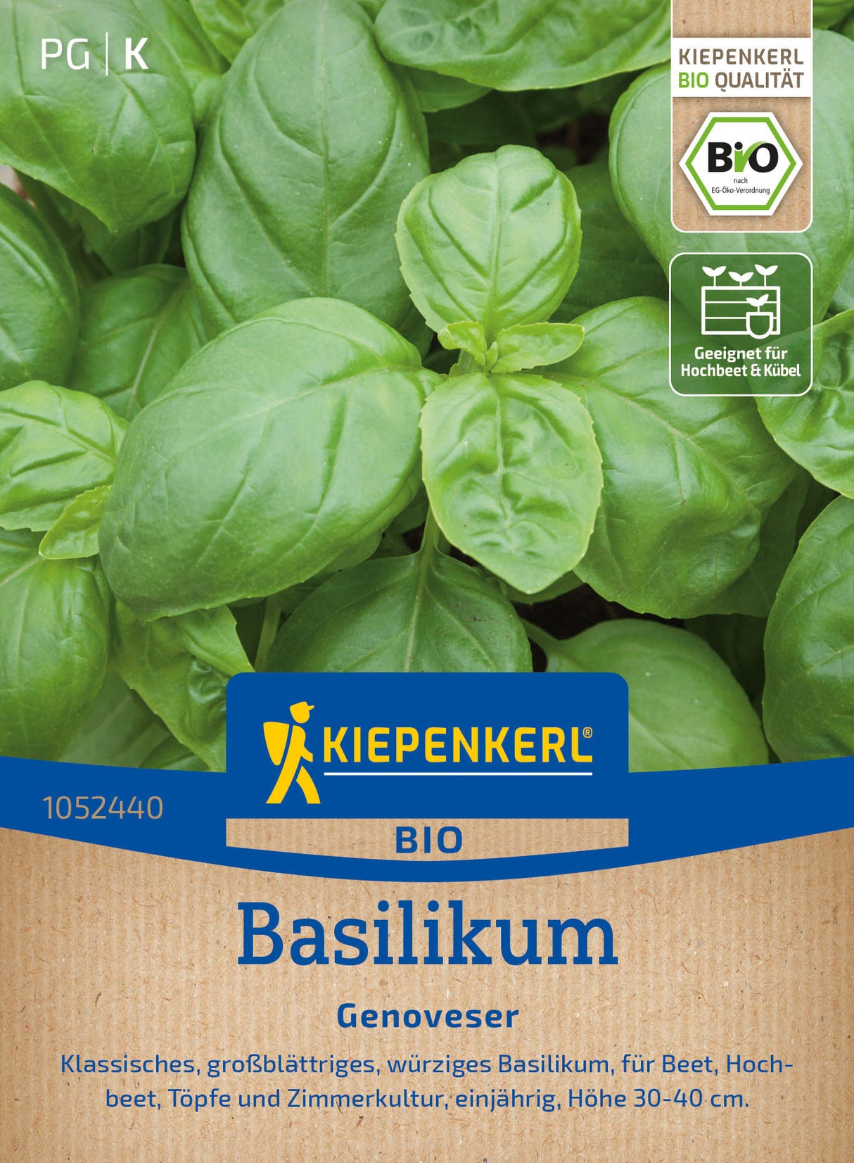 Kiepenkerl Basilikum Genoveser