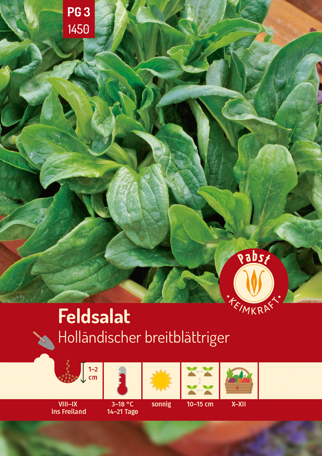 Pabst Keimkraft Feldsalat Holländischer breitblättriger