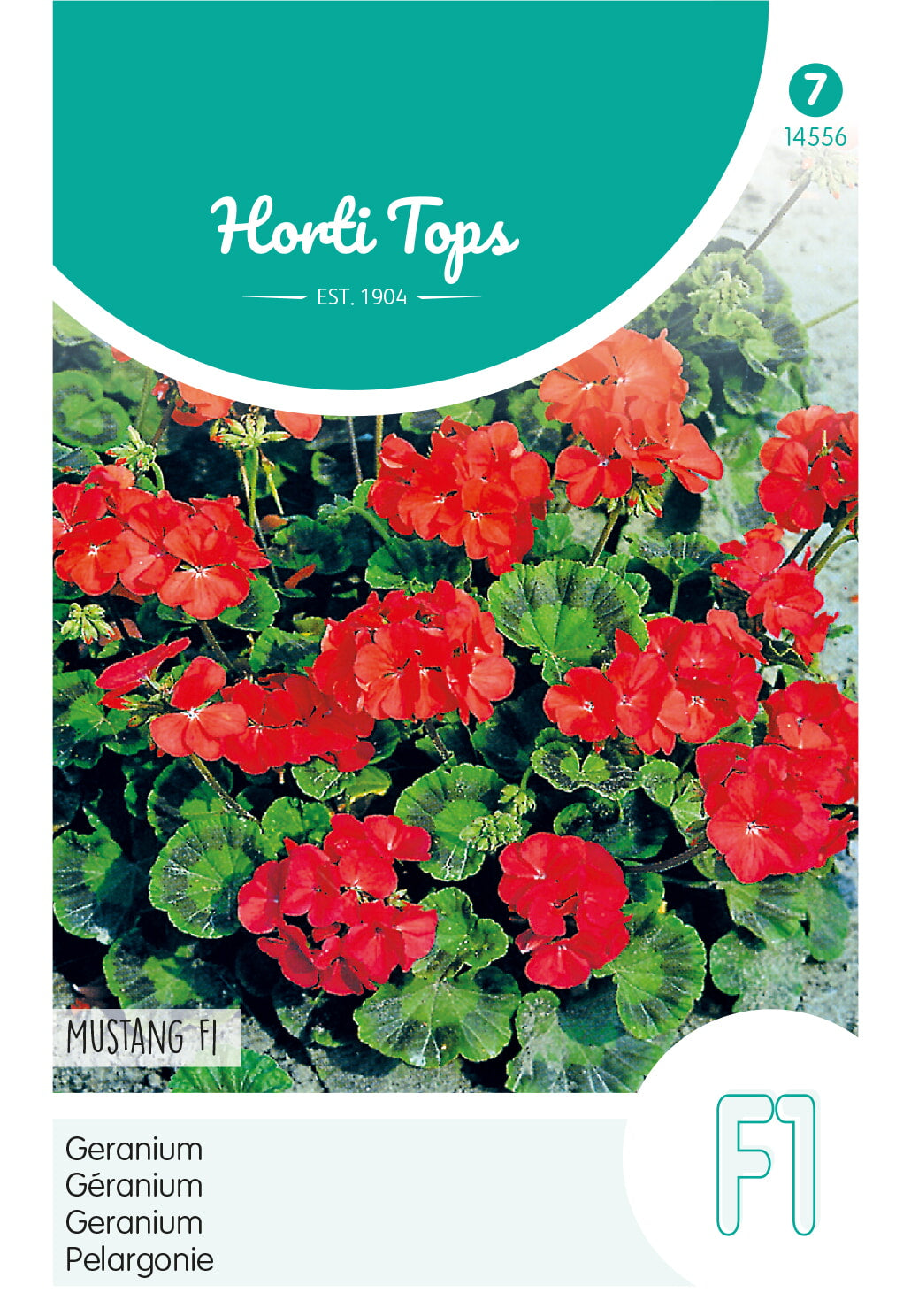 Horti Tops Pelargonie Mustang Rot