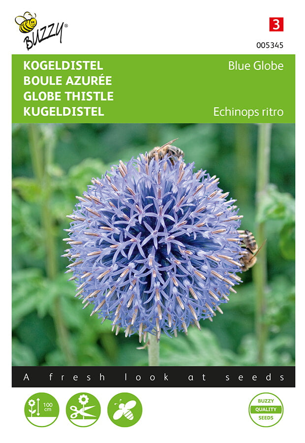 Buzzy Seeds Kugeldisteln Blue Globe